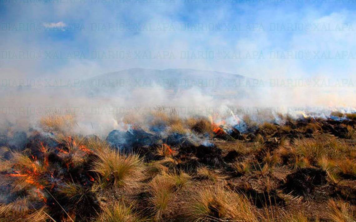 incendios