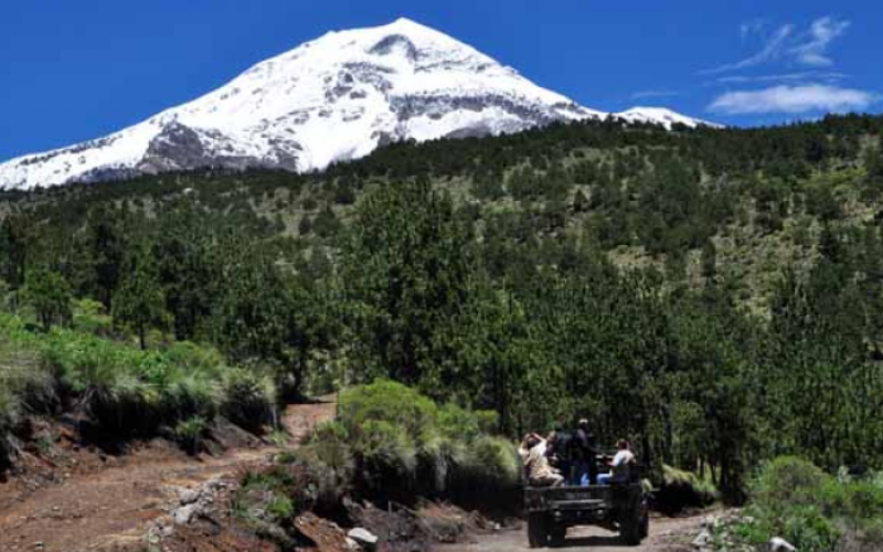 Ataque armado a turistas en Orizaba