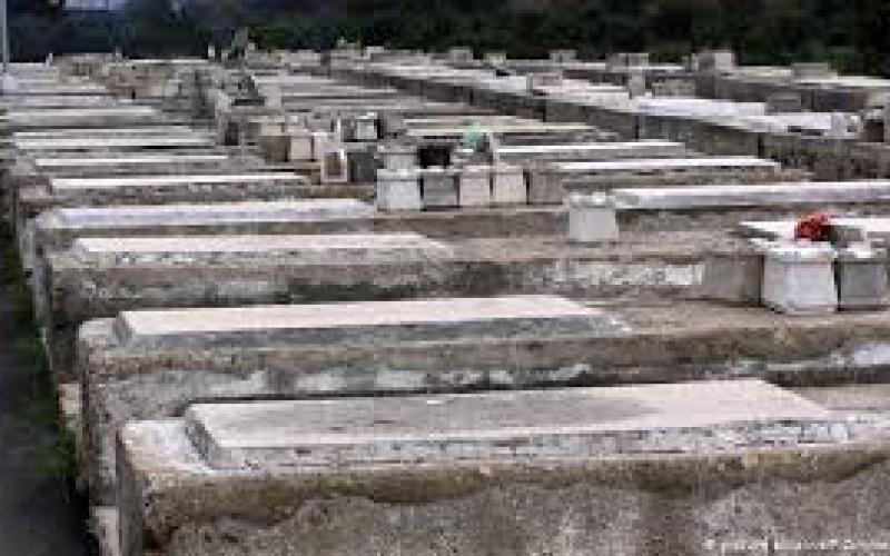 Exhumarán casi 500 restos en el cementerio municipal de Veracruz