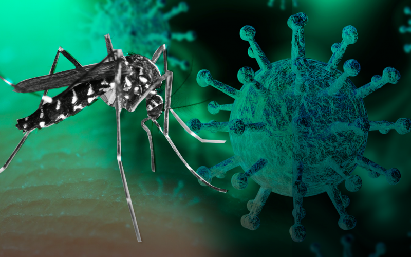 Grave complicación la prevención del dengue debido a la pandemia del coronavirus