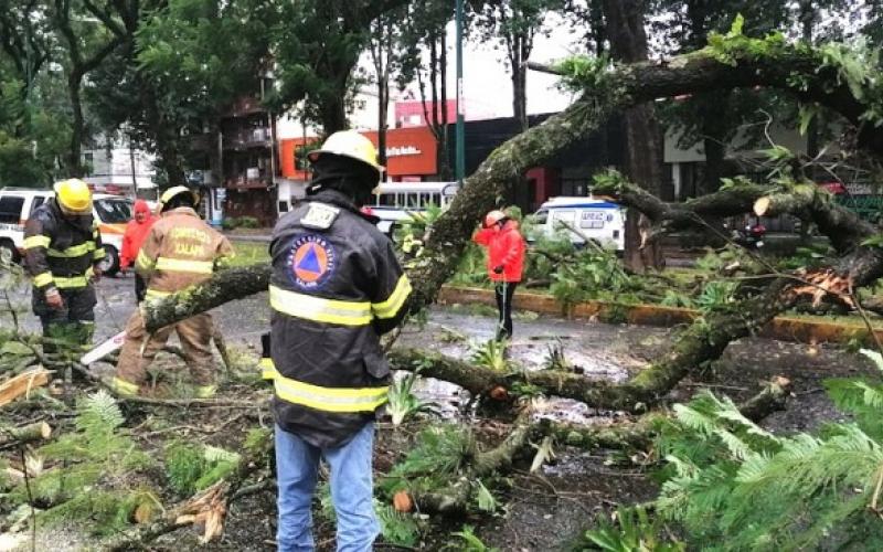 Vientos y lluvias ocasionados por el Frente Frío número 4 