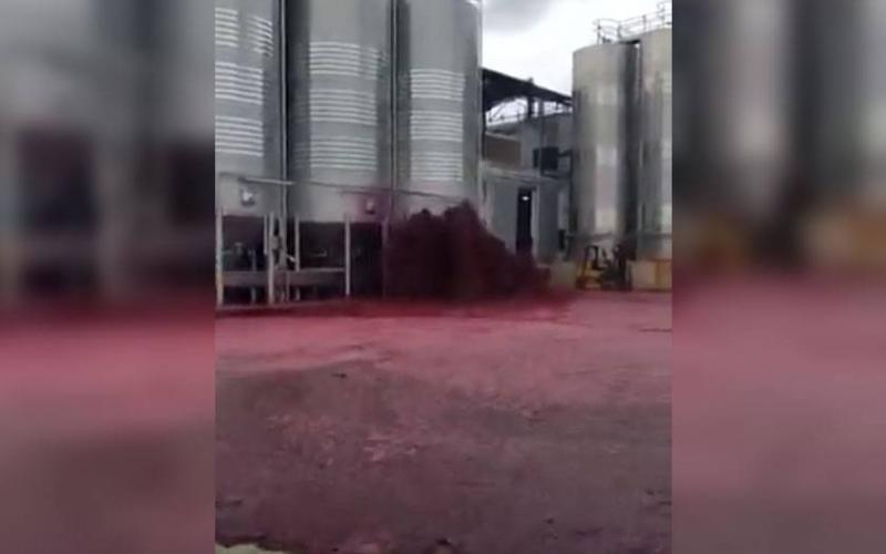 Vídeo: Miles de litros de vino se derraman tras reventarse un depósito en España 