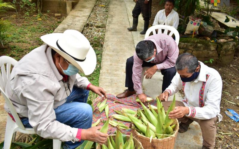 Con la intención de venerar a la madre tierra y reconocer que es el alimento considerado el más importante en los pueblos indígenas