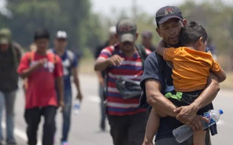 Tras crisis sanitaria disminuye el tránsito de migrantes por Veracruz