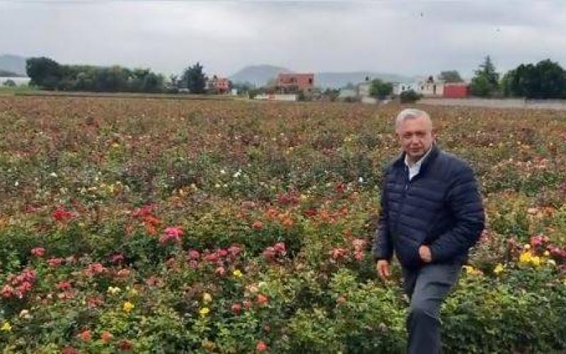 “Esto es México”, dice AMLO al mostrar rosal en Atlixco