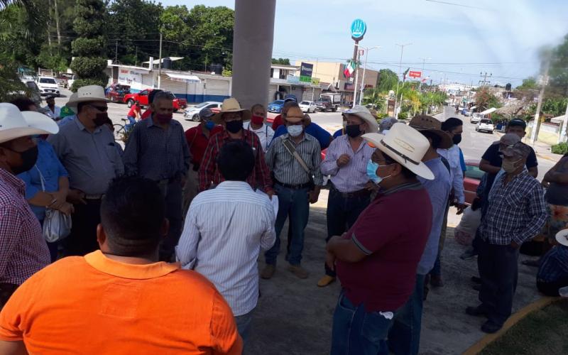 Citricultores de Álamo protestan y piden renovación de la junta local de sanidad vegetal