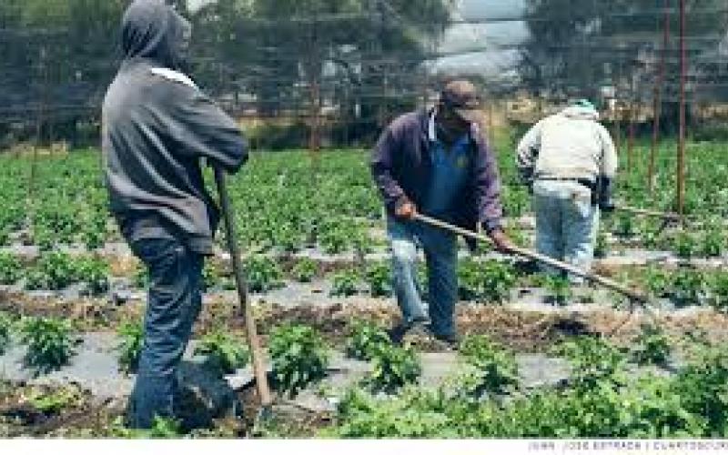 Presupuesto 2021 insuficiente, el campo está en crisis: Organizaciones campesinas 