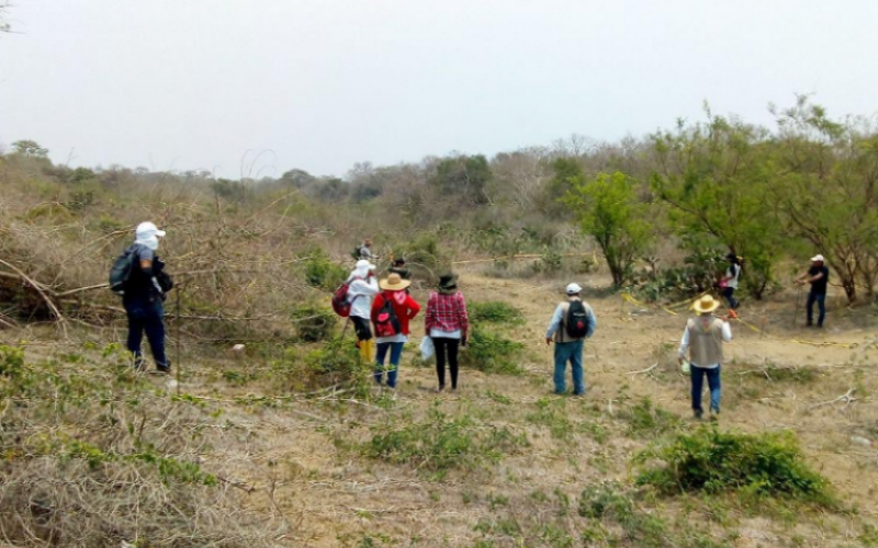 Tras COVID19, mexicanos reanudan la localización de desaparecidos