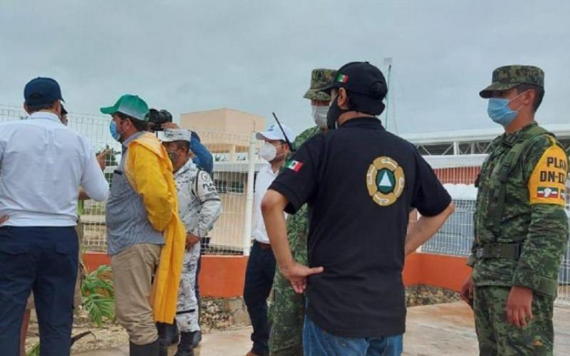 Servirán para reforestar la zona serrana del municipio 