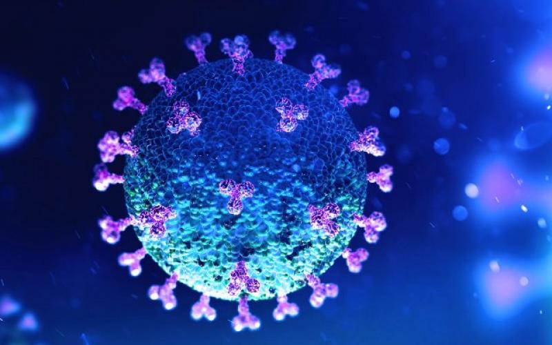 México suma 79 mil 88 fallecidos y 761 mil 655 casos positivos de coronavirus