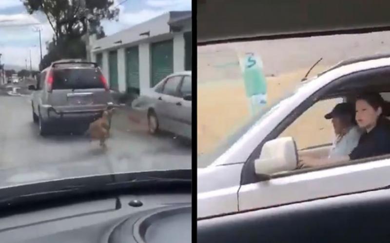  Exhiben a pareja luego que amarran a su perro a la defensa de su auto en marcha