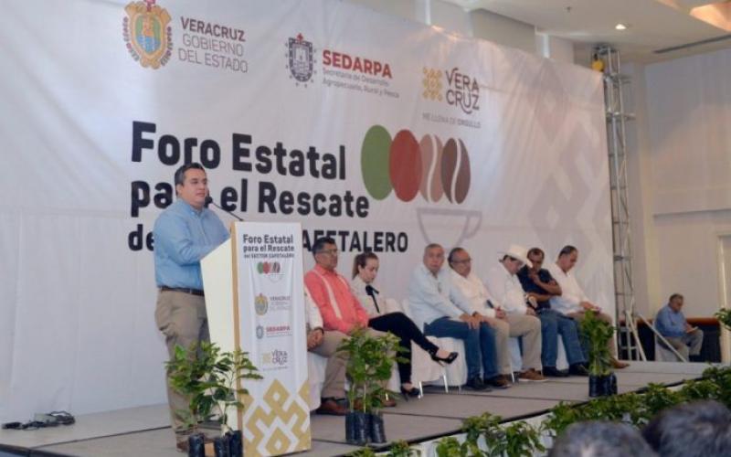 Se propone que en el sector cafetalero de Veracruz, se brinde financiamiento: Sedarpa