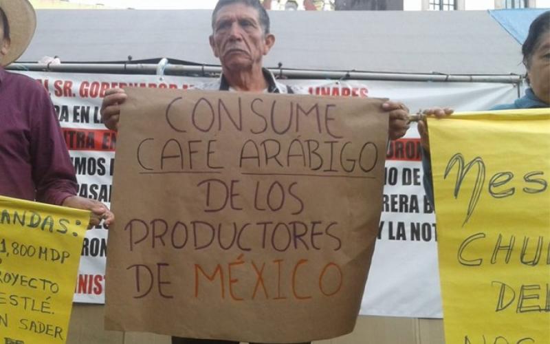 Productores de café en Veracruz son perjudicados por la empresa transnacional Nestlé