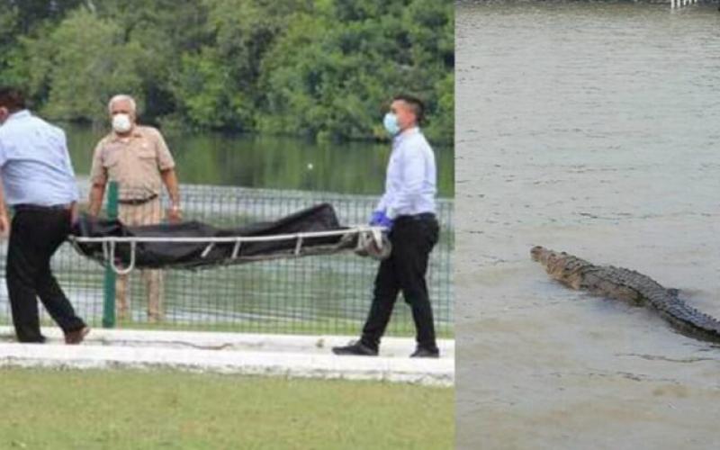 Muere masculino tras ataque de cocodrilo en la Laguna del Carpintero en Tamaulipas