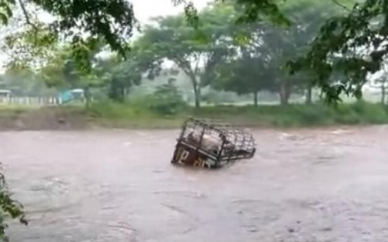 Río Coxcoapan en Catemaco, arrastra camioneta con ganado