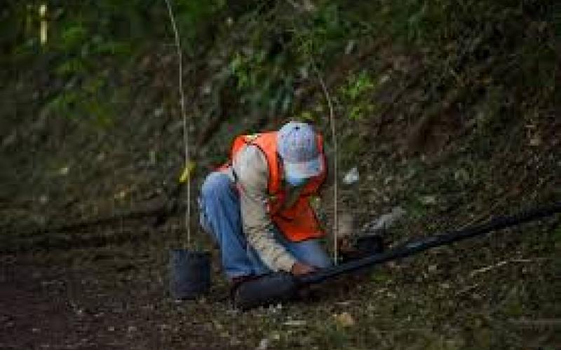 Más de 100 beneficiarios del Programa de Empleo Temporal