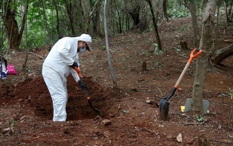 Localizan restos de 59 personas en fosas clandestinas de Guanajuato