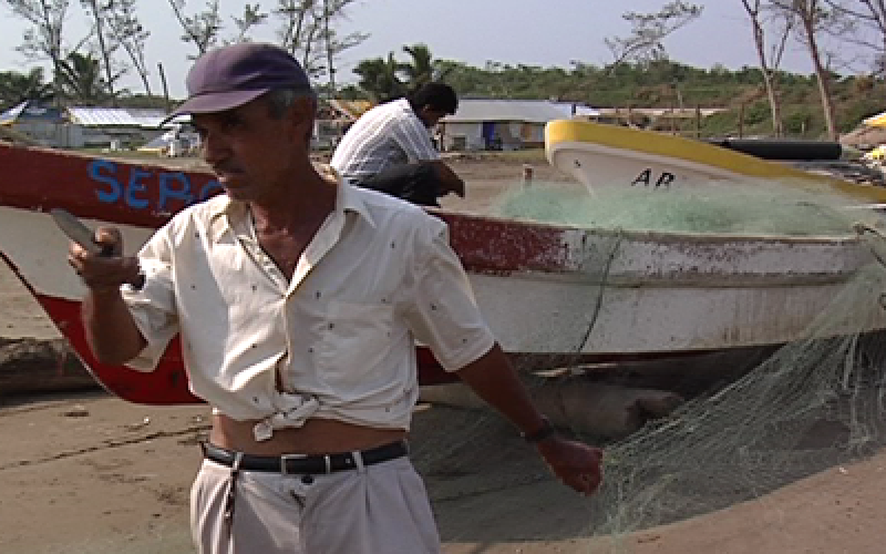 Luego de la desaparición de apoyos, frente frio y pandemia, pescadores de Veracruz en crisis