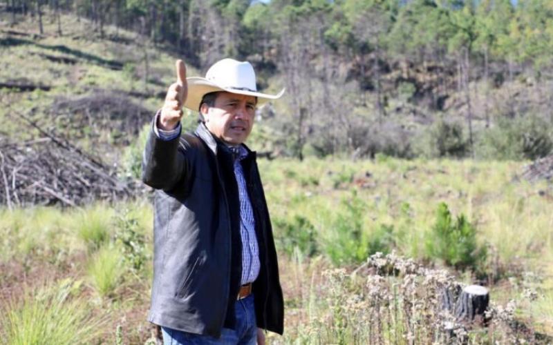 Cuitláhuac García supervisa labores de reforestación en la zona boscosa de “Las Vigas”