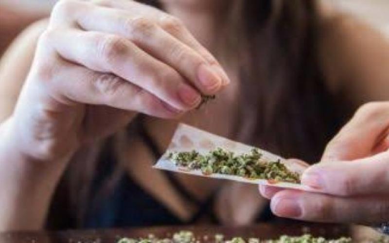 Aprueban dictamen sobre uso lúdico de la marihuana: Senado