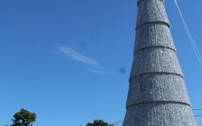 El Pino Monumental mide más de 27 metros, en este año será de color plata