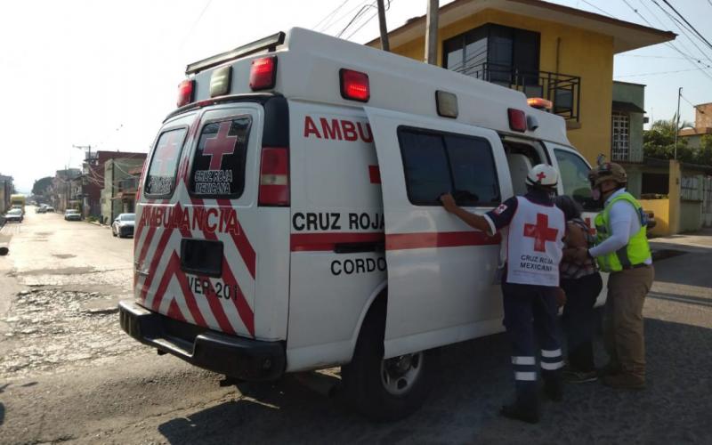 Abejas africanas atacan a pareja de ancianos en Córdoba Veracruz