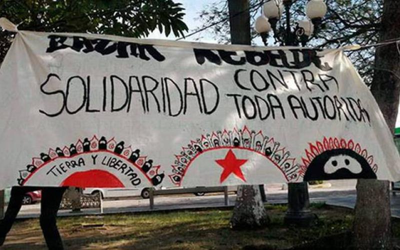 Comerciantes se instalan en el Tranvía como protesta en contra del Ayuntamiento