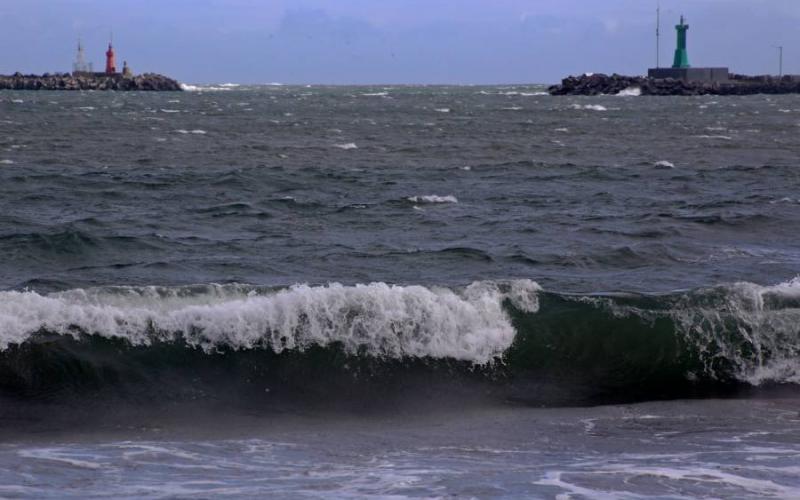 En puerto de Veracruz, fuertes vientos desprenden árboles y alzan olas por frente frío 23