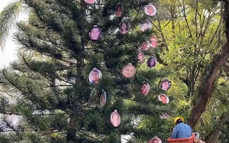 Llenan con esferas de desaparecidos pino frente a palacio de Gobierno Veracruzano