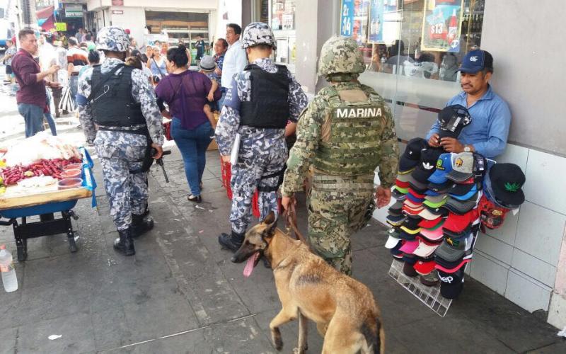 Veracruz usará binomios caninos en operativos contra venta de pirotecnia