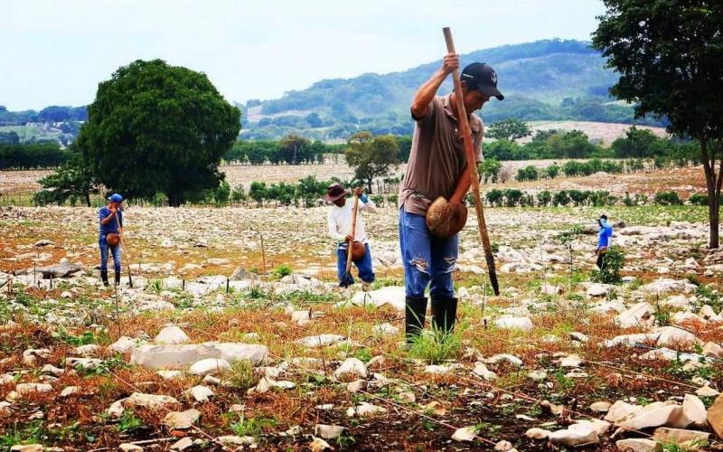 Campesinos del municipio de Ozuluama denunciaron ante el secretario de Bienestar, Javier May Rodríguez, en un oficio fechado el 21 de diciembre