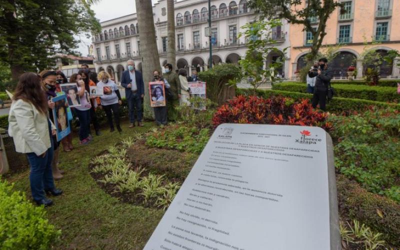 Colectivos en Xalapa siembran árbol para recordar a desaparecidos