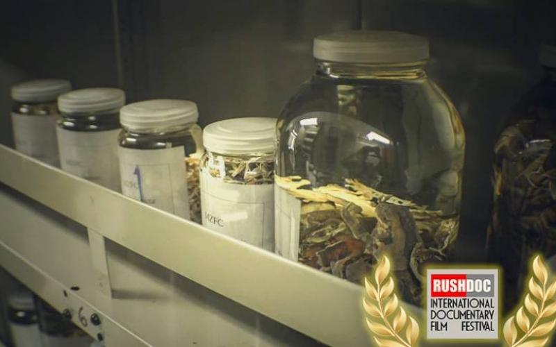 Documental que aborda la colección invaluable del Museo de Zoología obtiene premio internacional