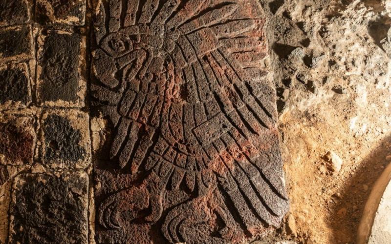 Bajorrelieve de águila real, antigua y lograda expresión escultórica mexica, encontrado por el PTM en 2019.