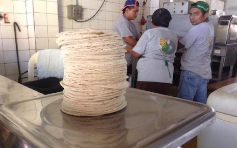 Ajustes al kilo de tortillas en Veracruz a partir del 1 de Febrero: Molineros