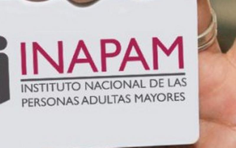 Revisa los requisitos para obtener credencial del INAPAM en Boca del Río