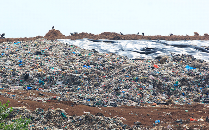 La actual administración municipal dejará resuelto el problema de la basura, dijo el director de Medio Ambiente y Sustentabilidad, Juan Carlos Olivo Escudero