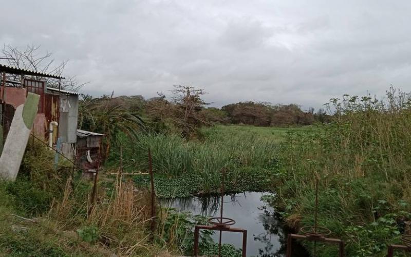 En Veracruz y Medellín varias áreas naturales protegidas han sido ocupadas; los Ayuntamientos son permisivos, señala la PMA