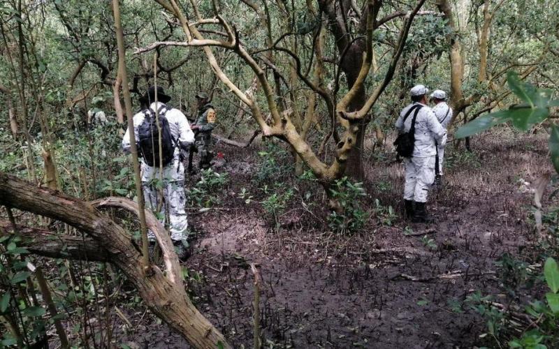 Encuentran fosas clandestinas en Alvarado Veracruz