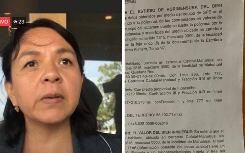 Juez en materia de lo civil evita que Fabiola Cortés Miranda, despoje un predio de playa a sus propietarios