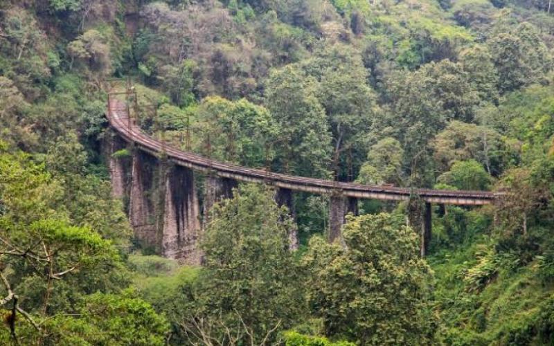 Proyecto de Parque público y de vías en Barranca de Metlac avanzan