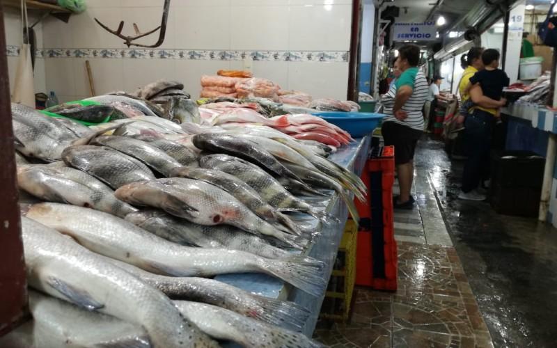 Mariscos y pescado repuntan venta en Coatzacoalcos | Contra Réplica Veracruz