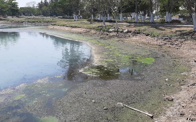 Los vecinos de la laguna Olmeca de Veracruz solicitaron a las autoridades que se investigue y castigue a la persona que abrió las compuertas del cuerpo de agua permitiendo que el nivel bajara drásticamente