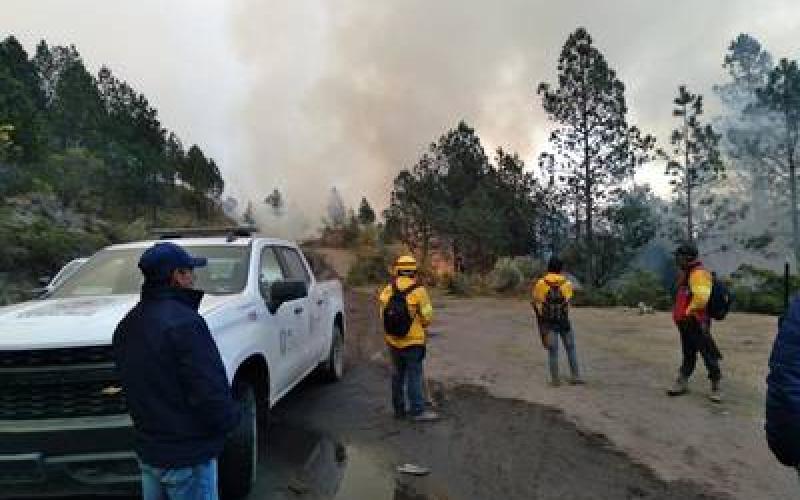 Daños de 100 hectáreas y un control al 80 %, el incendio del Parque Nacional Pico de Orizaba
