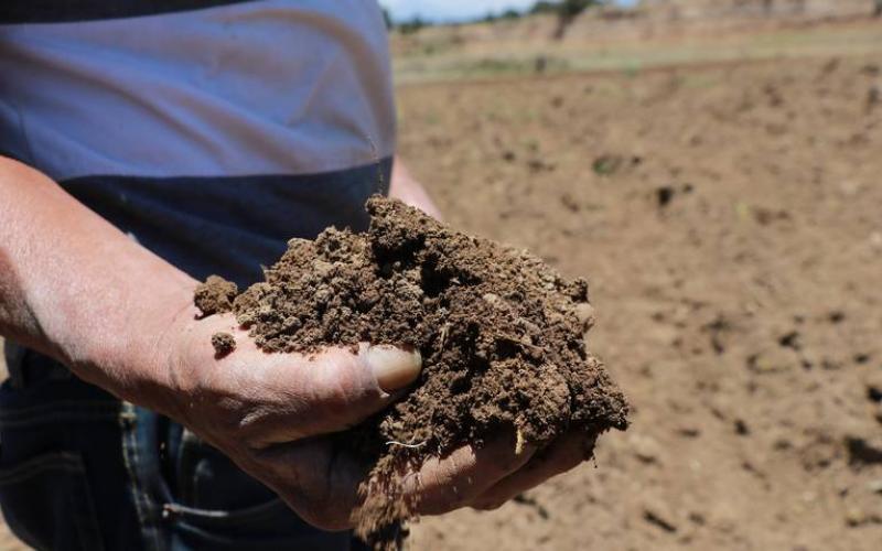 Debido a las pocas lluvias registradas, estos municipios se consideran anormalmente secos