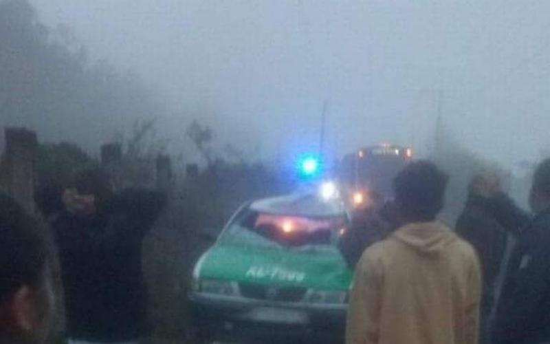 El chofer prácticamente no tuvo tiempo de frenar, pues el caballo apenas era visible a causa de la densa neblina