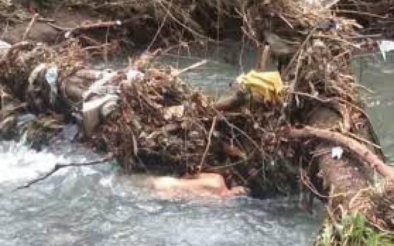 Hallan cadáver a orilla de un arroyo de San Rafael, Veracruz