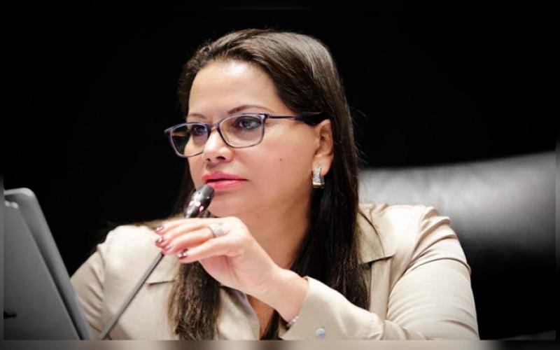 Senadora de Morena equivocadamente comparte el interés de AMLO por Jalisco y NL