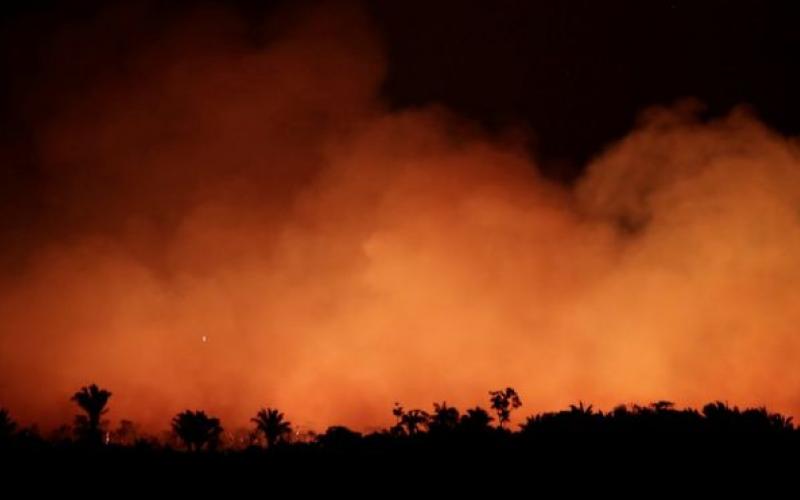 Científicos advierten incendios en la Amazonia por aumento de temperaturas