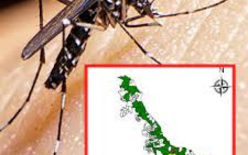 Veracruz, primer lugar nacional en casos de dengue